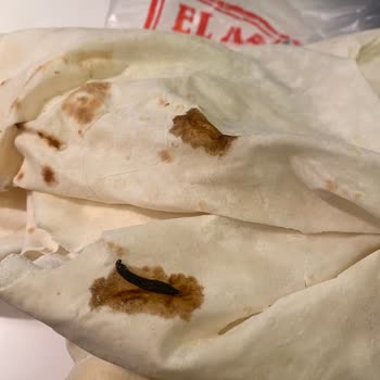 Yufka İçinde Kanlı Ve Korkunç Nesne Görülmesi