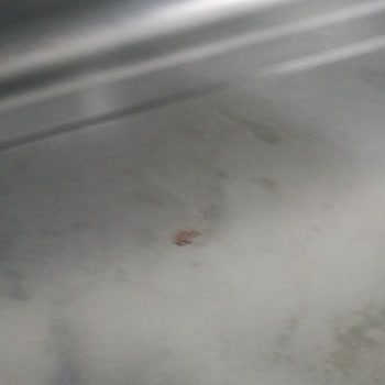 Samsung Bulaşık Makinesi Camları Puslu Bırakıyor Ve Temizlikte Hayal Kırıklığı