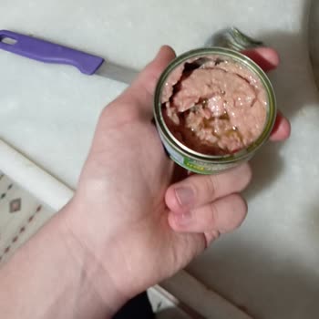 Superfresh Ton Balığı Konservesinde Bozulmuş Ürün Ve Sağlık Tehlikesi