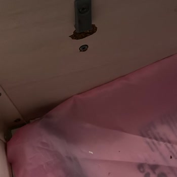 Ömür Boyu Garantili Yatak Bazalarında Sürekli Kırılma Ve Çözüm Eksikliği