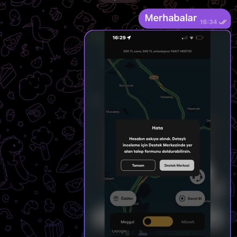 Açıklama Almadan Haksızca Askıya Alınan Martı Tag Hesabım