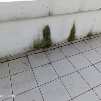 Spradon Vadi B4 Blokta 8 Yıllık Rutubet Krizi Ve Yönetim Sessizliği