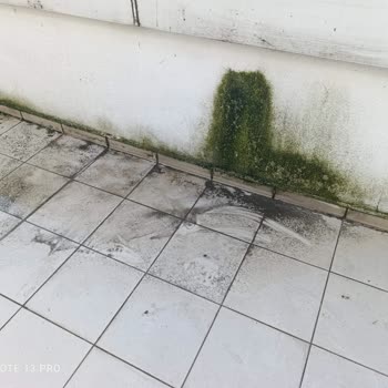 Spradon Vadi B4 Blokta 8 Yıllık Rutubet Krizi Ve Yönetim Sessizliği