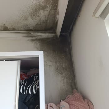 Spradon Vadi B4 Blokta 8 Yıllık Rutubet Krizi Ve Yönetim Sessizliği