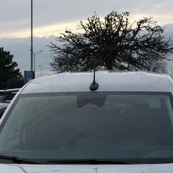 Europcar, solicito devolución de dinero retenido por daños no reconocidos