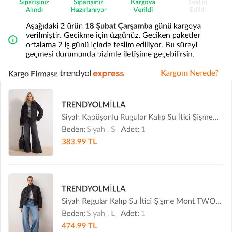 Siparişim 5 Gün Gecikti, Acil Teslimat Ve Bilgi Talebi