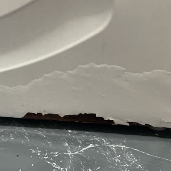 Bosch Kurutma Makinesindeki Tekrarlayan Arıza Ve Su Kaçağı Sonrası Çamaşır Makinesi Hasarı