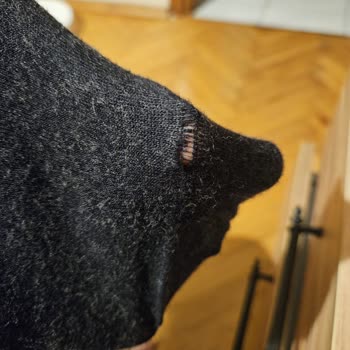 Defolu Çorap, Söz Verilen Telafi Gelmedi