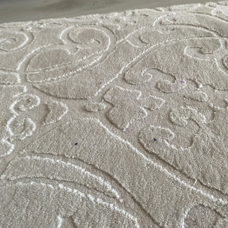 Dyson Robot Süpürge Temizlikte Hayal Kırıklığı Ve İade Talebi