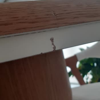 Defolu Masanın Değişimi İçin 25 Gün Bekleme Ve Cevapsız Satış Temsilcisi