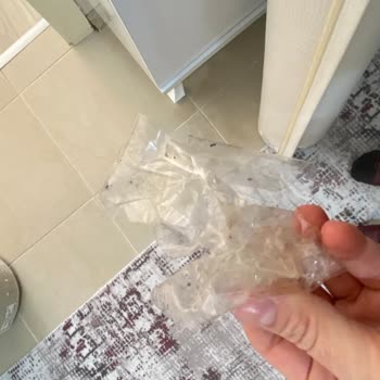 Güneşevler Halı Yıkama | Ankara Verdikleri Sözleri Tutmadı