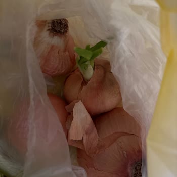 Bozuk Ürün Teslimatı Ve İade İşlemindeki Gecikme