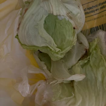 Bozuk Ürün Teslimatı Ve İade İşlemindeki Gecikme