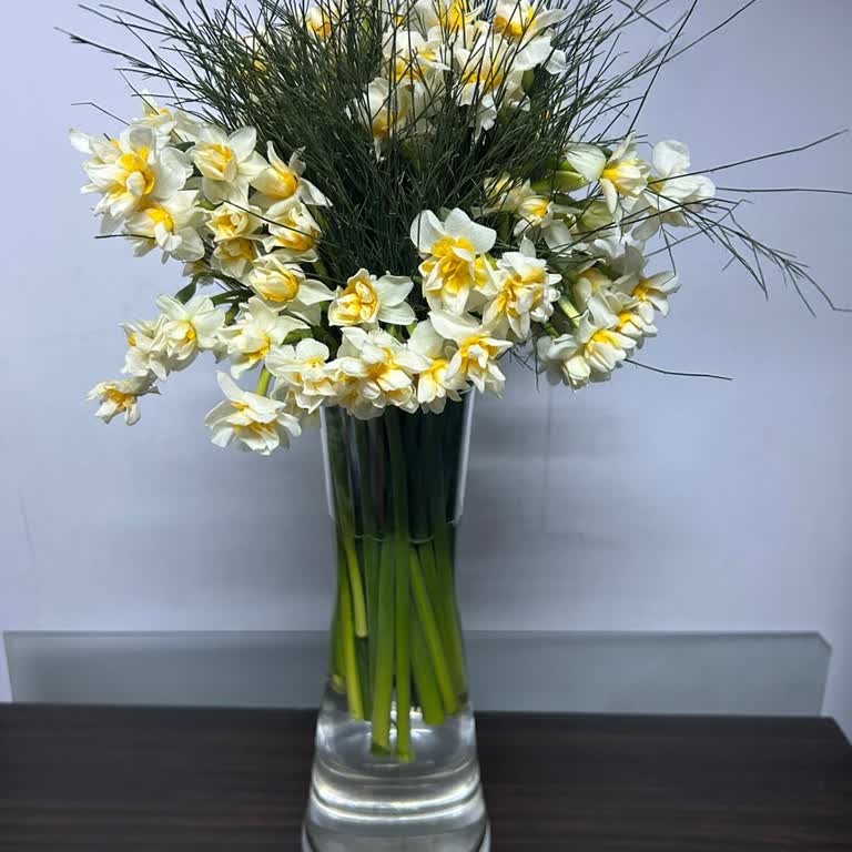 Solmuş Ve Yanlış Çiçek Gönderimi, İlgisiz Müşteri Hizmeti