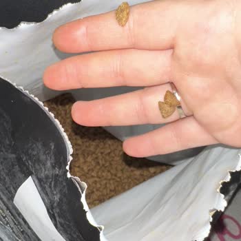 Açık Paket Nedeniyle Reddedilen İade Talebi Ve Ayıplı Köpek Maması Şikayeti