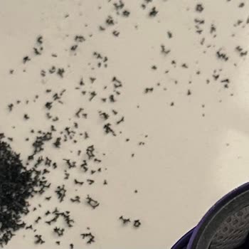 Dyson V10 Süpürge Motor Filtre Parçası Kaçması Ve Garanti Kapsamı Dışında Ücret Talebi