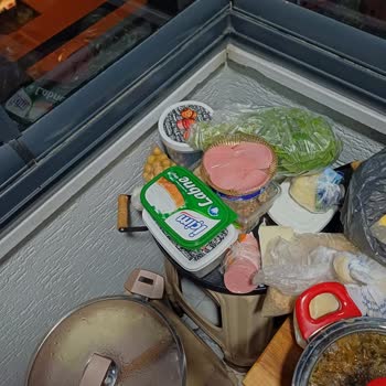 Profilo Buzdolabındaki Sürekli Arızalar Ve Değişim Talebi