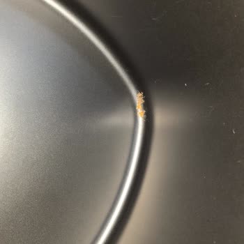 Hiking Haf-507 Airfryer İç Haznesinde Paslanma Ve Sağlık Endişesi!