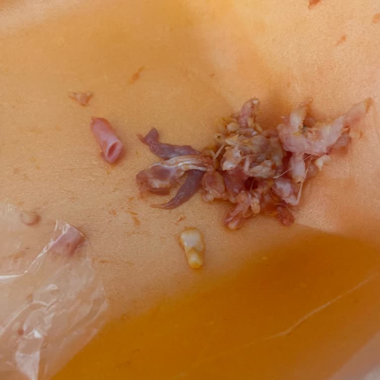 Emek Şubesinde Kebapta Kıkırdak Ve Sinir Parçaları Bulunması Hijyen İhlali