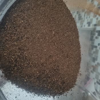 Toz Çay Taneleri İle Karşılaşılan Sağlık Riski Ve Ürün Geri Çağırma İsteği