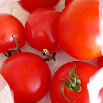 Yanlış Domates Ve Bozuk Mantar Teslimatı İçin Çözüm Talebi