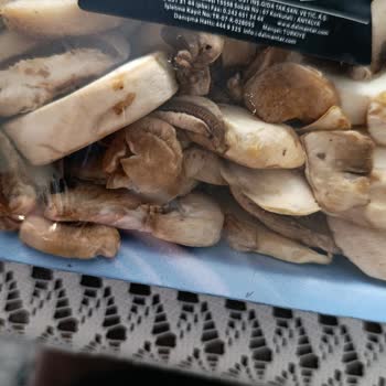 Yanlış Domates Ve Bozuk Mantar Teslimatı İçin Çözüm Talebi