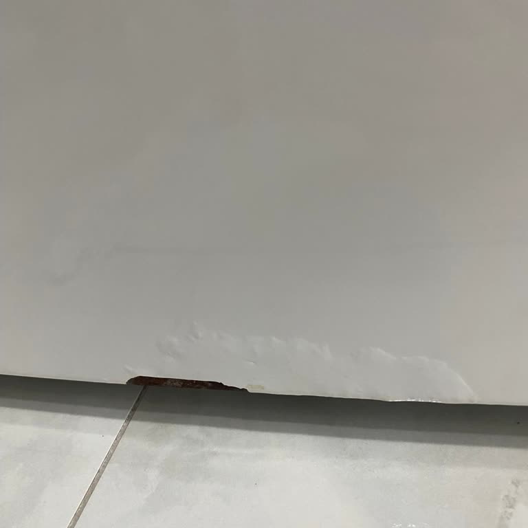 Bosch Çamaşır Makinesinde Kısa Sürede Paslanma Ve Metal Dökülmesi