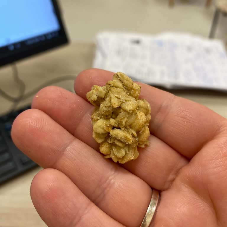 Kellogg’s Granola Ürününün Bayatlığı Ve İade Reddi