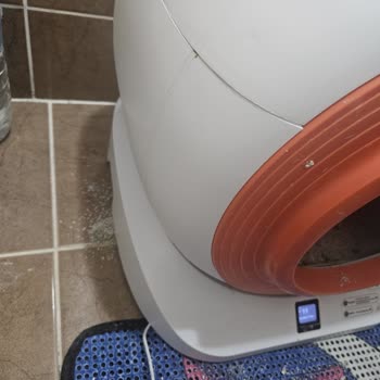 Groove Q Otomatik Kedi Tuvaleti Üç Gün İçinde Parçalar Kırıldı, Ücretsiz Değişim Talebi
