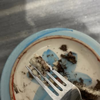 Şok Kırıkhan Şubesinde Tiramisu Pastasının Bozulması Ve Mide Bulantısı