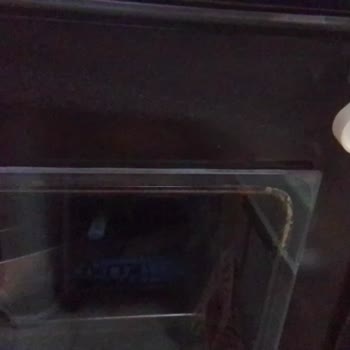 Bosch Fırın Aksesuar Siparişinde Sürekli Gecikme Ve İptal Kayıtları