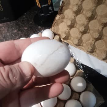 Yumurta Kalitesi ve Mağaza Hizmetleri Şikayeti