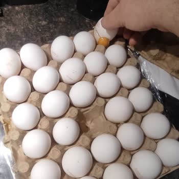 Yumurta Kalitesi ve Mağaza Hizmetleri Şikayeti