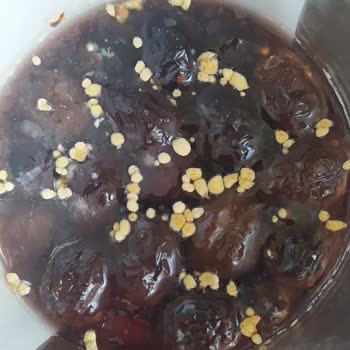 Beko Buzdolabında Tekrarlayan Küflenme Ve Ücretli Temizlik Talebi