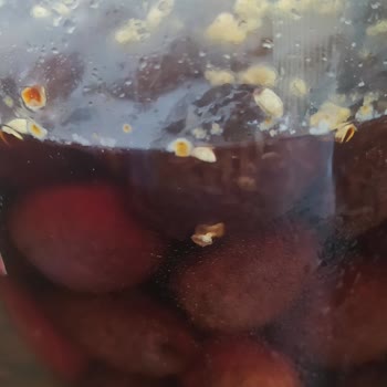 Beko Buzdolabında Tekrarlayan Küflenme Ve Ücretli Temizlik Talebi