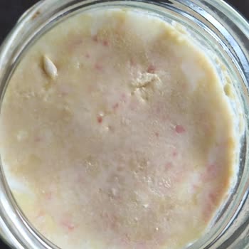 Beko Buzdolabında Tekrarlayan Küflenme Ve Ücretli Temizlik Talebi