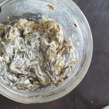 Beko Buzdolabında Tekrarlayan Küflenme Ve Ücretli Temizlik Talebi