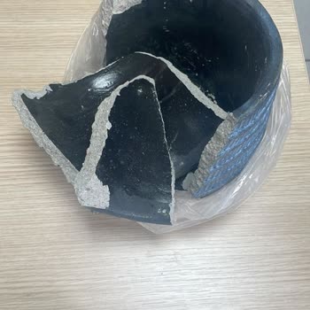 Rosebox Bakımsız Çiçek!