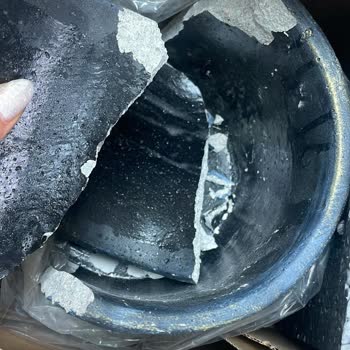 Rosebox Bakımsız Çiçek!