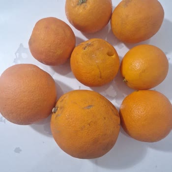 Eksik Limon Ve Çürük Portakal Cevapsız Müşteri Hizmetleri Üzerine İade Talebi