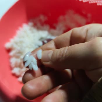 Yayla Baldo Pirinçinde Şişen Ve Çamurumsu Doku Sorunu