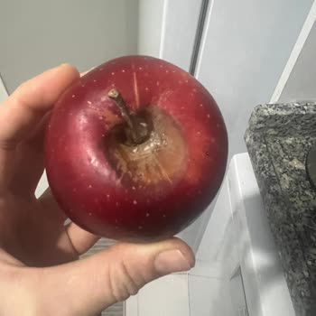 Yanlış Su, Çifte Fiyat Ve Bozuk Elma İçin İade Talebi