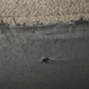 Kilim Mobilya'da Koltuk Yayları Koptu Ve Ayaklar Soyuldu