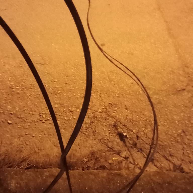 Altyapı Arızası Nedeniyle İnternet Kesintisi Ve Canlı Destek Yokluğu