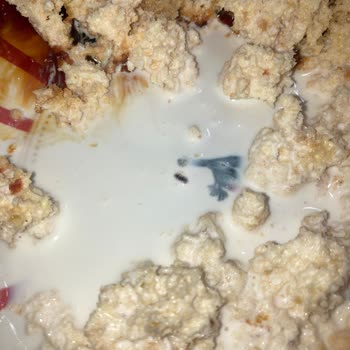 Tatlıda Böcek Keşfi: Hijyen İhlali Ve Aileyi Derinden Sarsan Olay