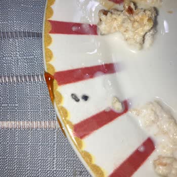 Tatlıda Böcek Keşfi: Hijyen İhlali Ve Aileyi Derinden Sarsan Olay