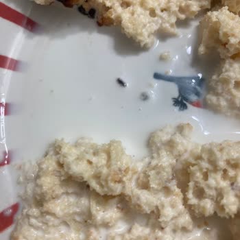 Tatlıda Böcek Keşfi: Hijyen İhlali Ve Aileyi Derinden Sarsan Olay