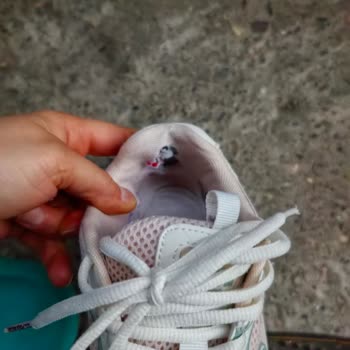 Kısa Sürede Parçalanan Ayakkabı İç Astarı Değişim Ya Da İade Talebi