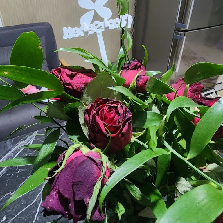 Fotoğraf Gönderilmemesi Ve Çiçeklerde Hızlı Solma Sorunu