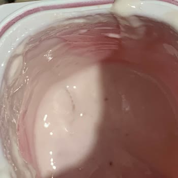 Eker Probiyotik Yoğurttan Kurt Çıktı!